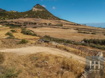 Terreno para Venda em Porto Santo