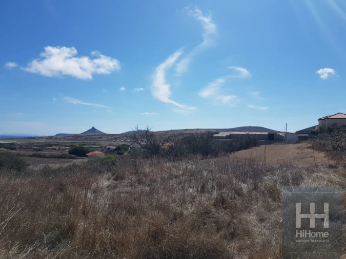 Terreno para Venda em Porto Santo Foto 6