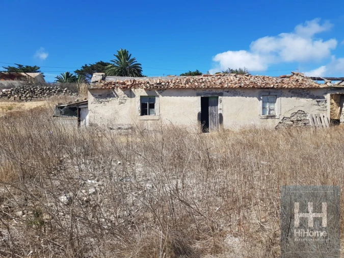 Terreno para Venda em Porto Santo Foto 19