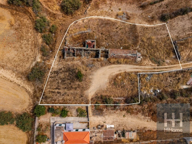Terreno para Venda em Porto Santo Foto 9
