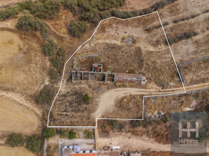 Terreno para Venda em Porto Santo Foto 12