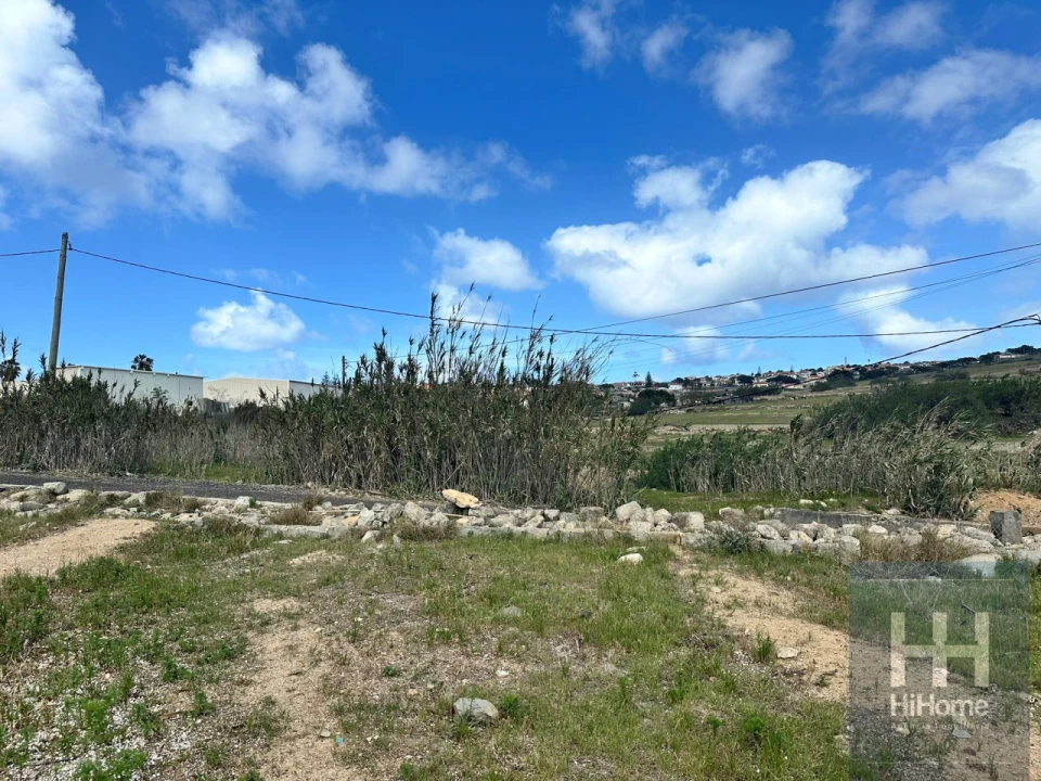 Terreno para Venda em Porto Santo Foto 14