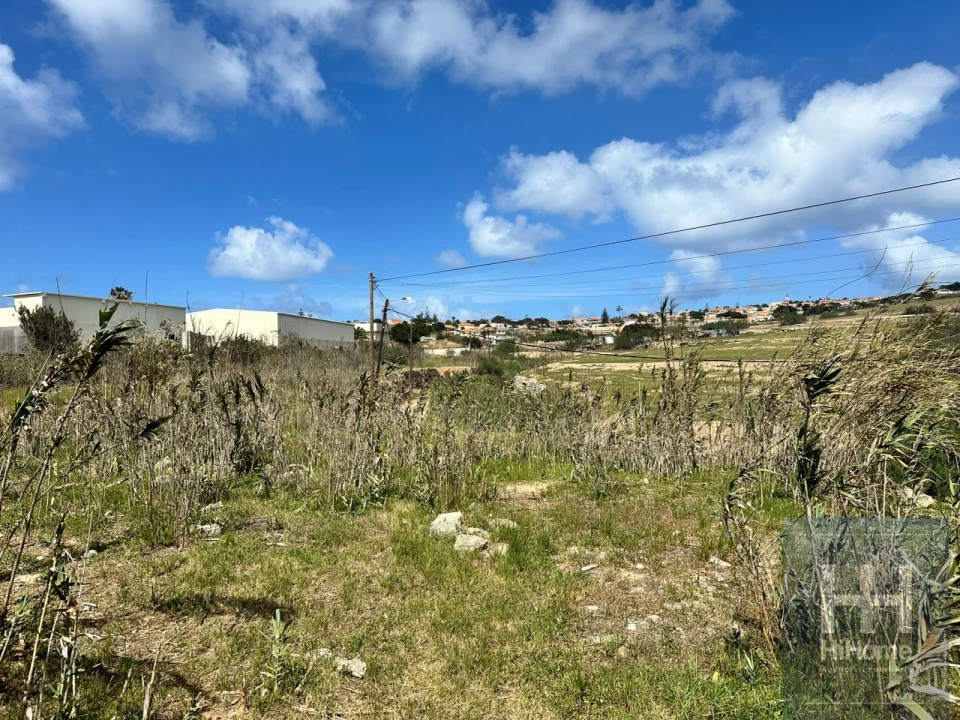 Terreno para Venda em Porto Santo Foto 16