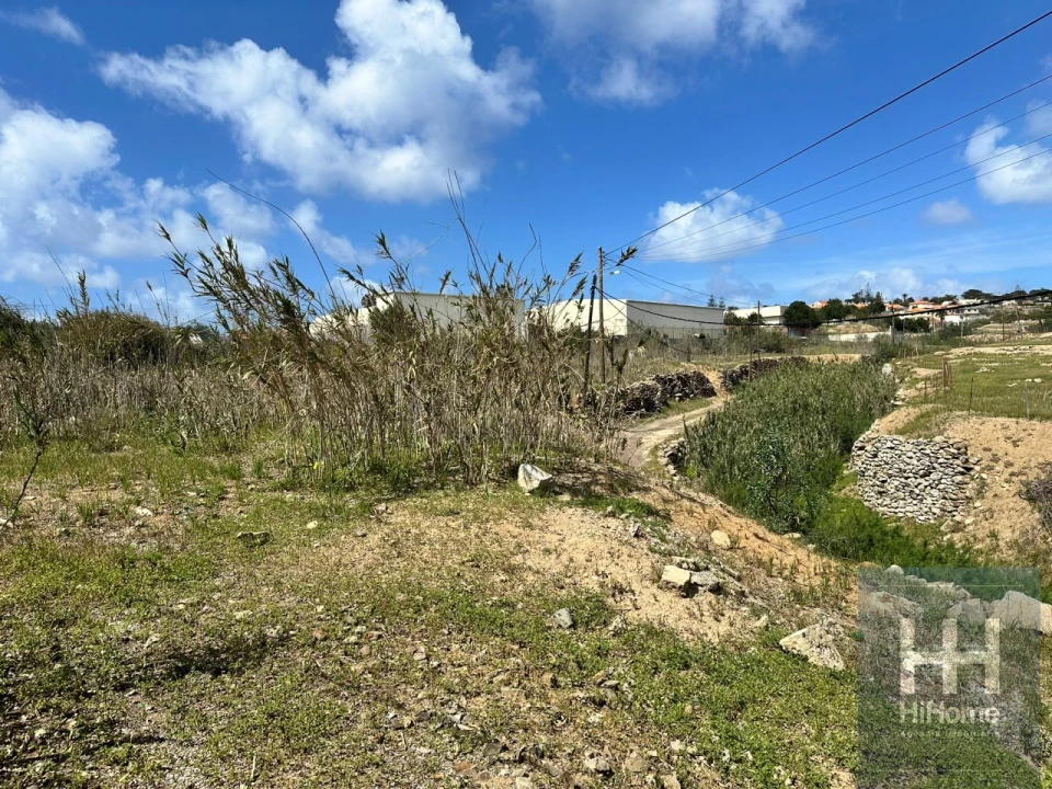 Terreno para Venda em Porto Santo Foto 21