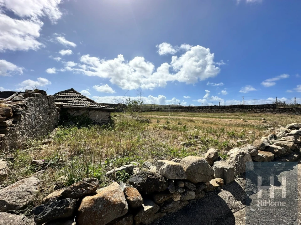 Terreno para Venda em Porto Santo Foto 22
