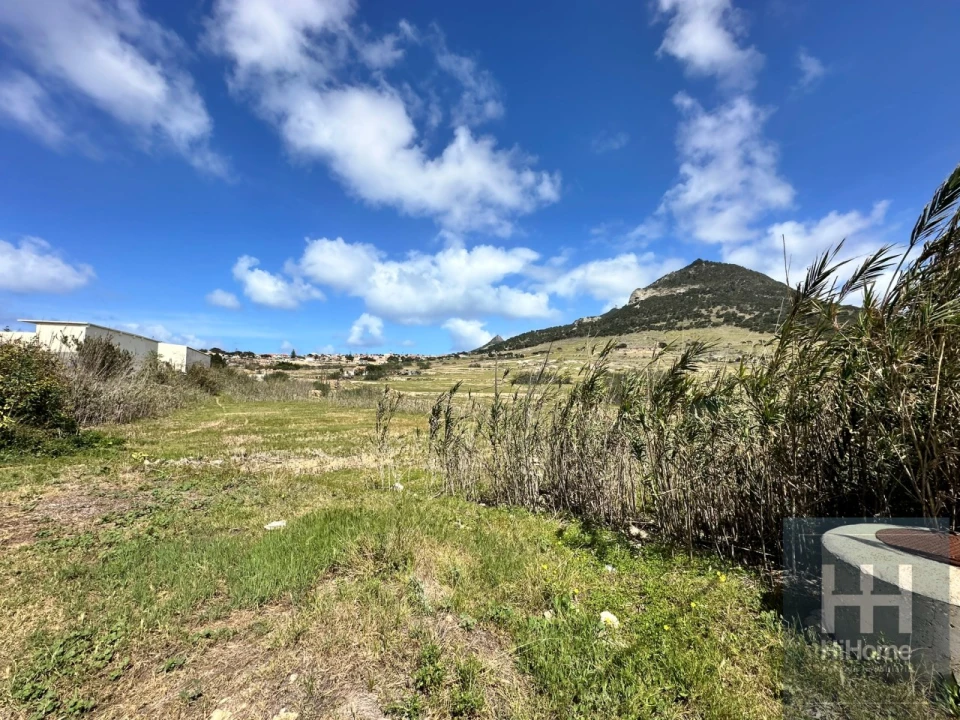 Terreno para Venda em Porto Santo Foto 26
