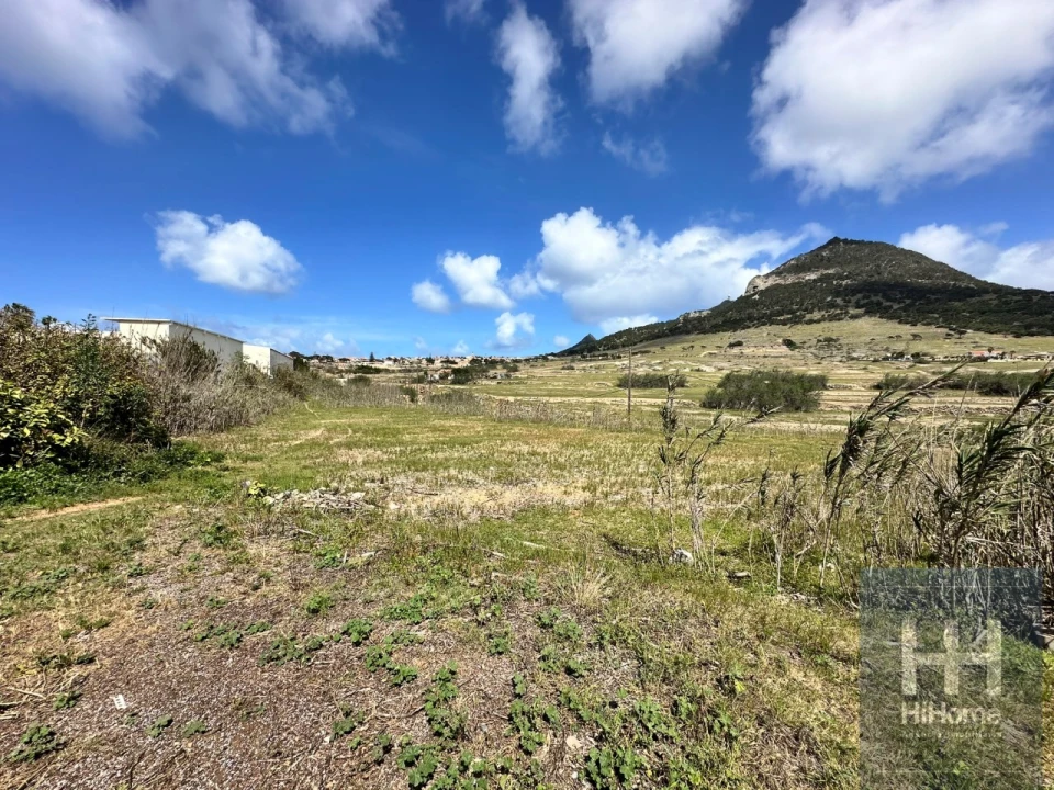 Terreno para Venda em Porto Santo Foto 32
