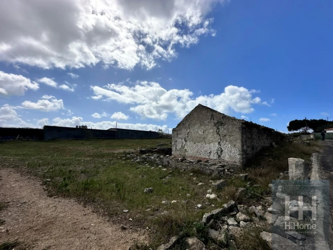 Terreno para Venda em Porto Santo Foto 9