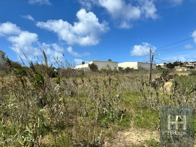 Terreno para Venda em Porto Santo Foto 17