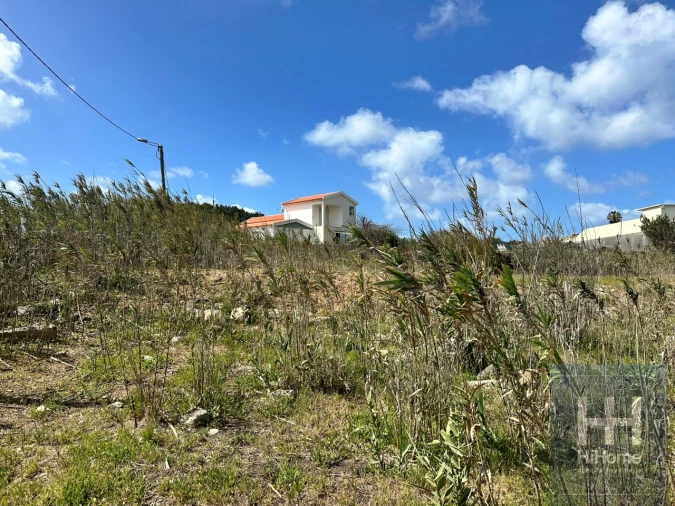 Terreno para Venda em Porto Santo Foto 18