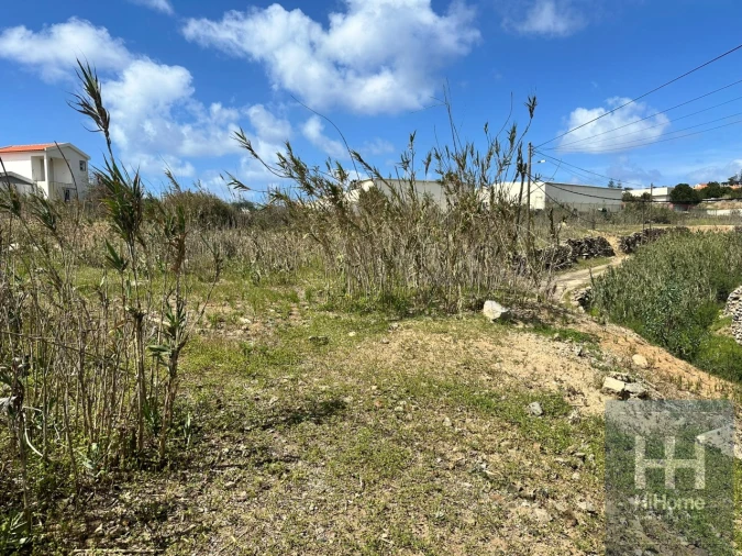 Terreno para Venda em Porto Santo Foto 20