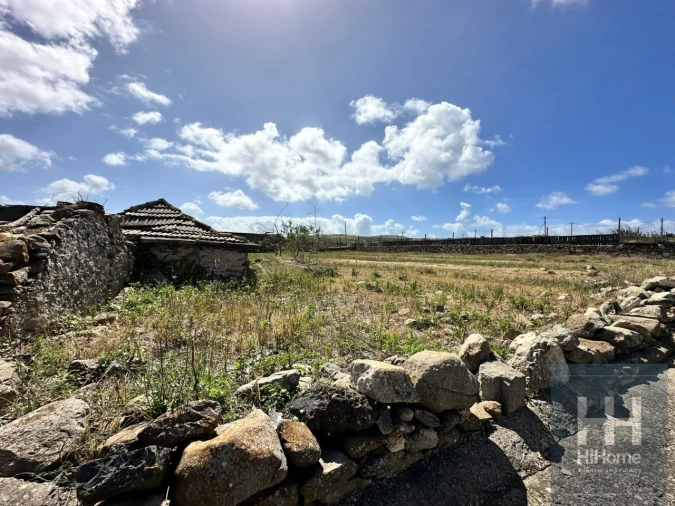 Terreno para Venda em Porto Santo Foto 22