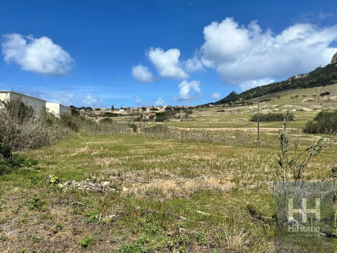 Terreno para Venda em Porto Santo Foto 31