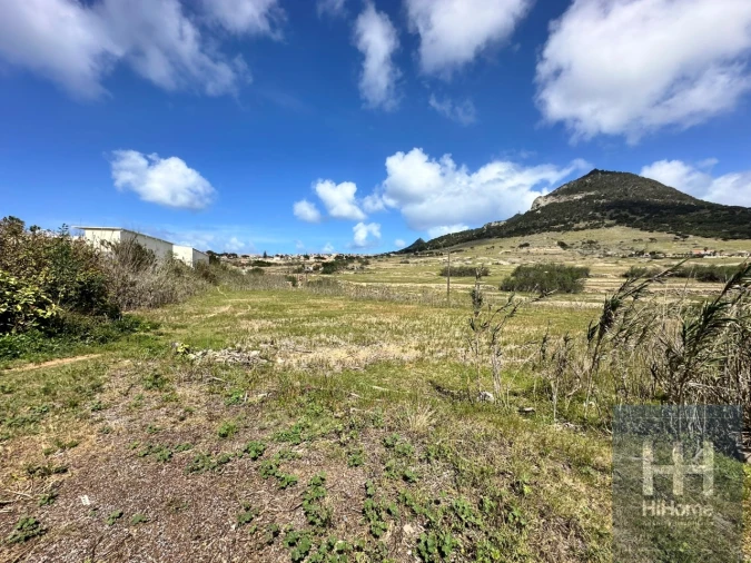 Terreno para Venda em Porto Santo Foto 32