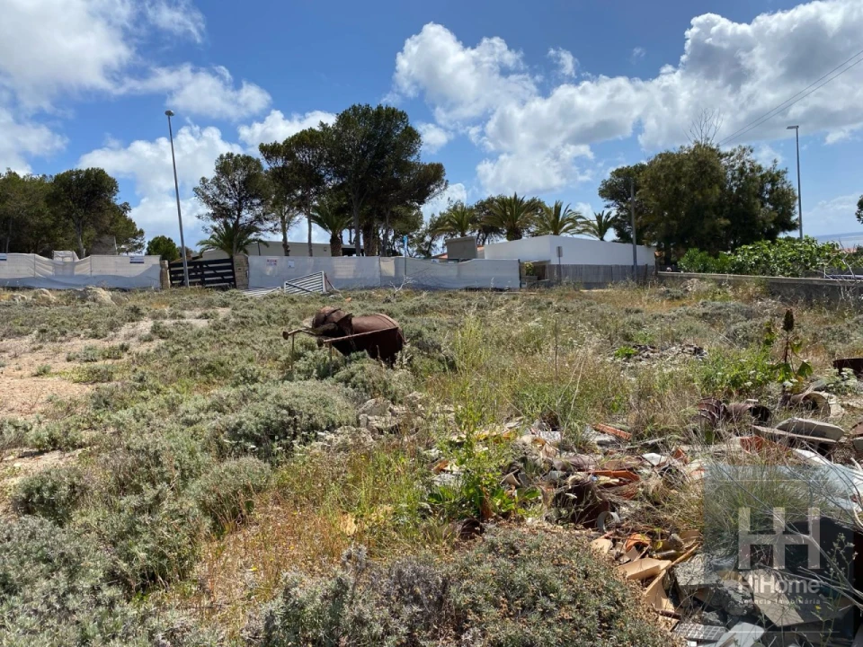 Terreno para Venda em Porto Santo Foto 10