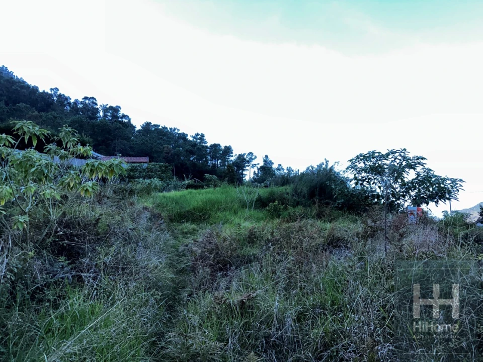 Terreno para Venda em São Vicente Foto 4