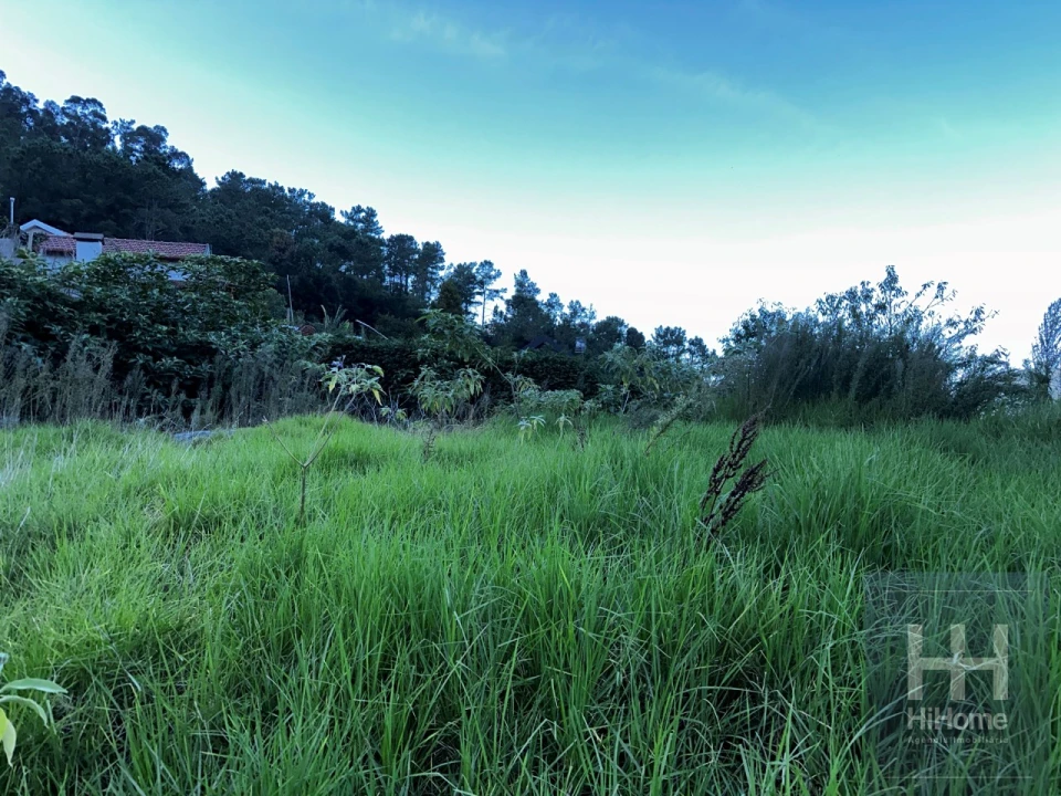 Terreno para Venda em São Vicente Foto 11