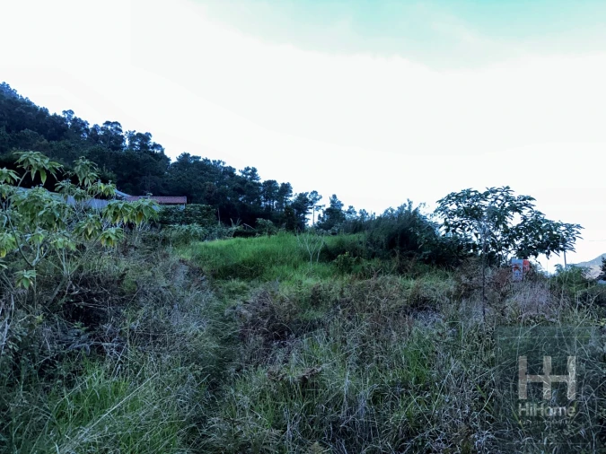 Terreno para Venda em São Vicente Foto 4