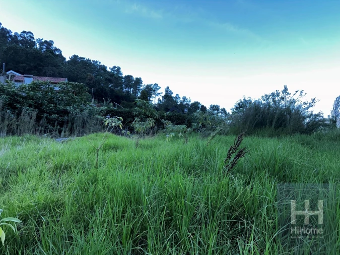 Terreno para Venda em São Vicente Foto 11
