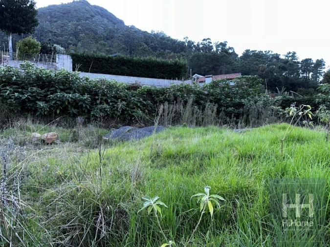 Terreno para Venda em São Vicente Foto 7