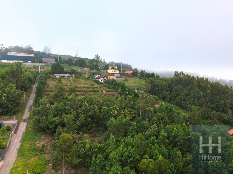 Terreno para Venda em Santa Cruz Foto 6