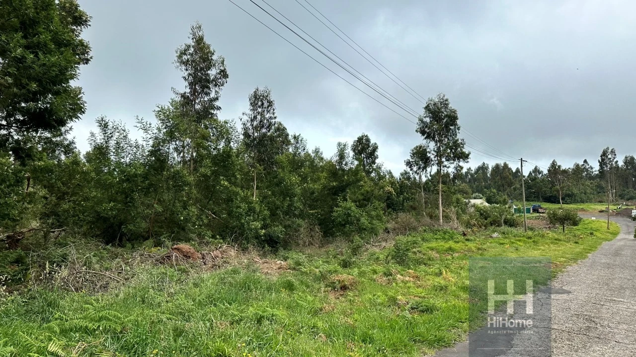 Terreno para Venda em Santa Cruz Foto 20