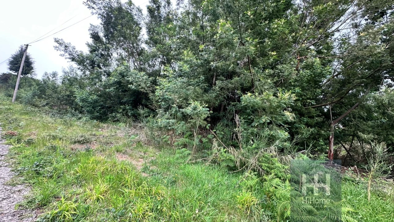 Terreno para Venda em Santa Cruz Foto 22