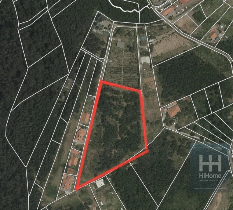 Terreno para Venda em Santa Cruz Foto 24