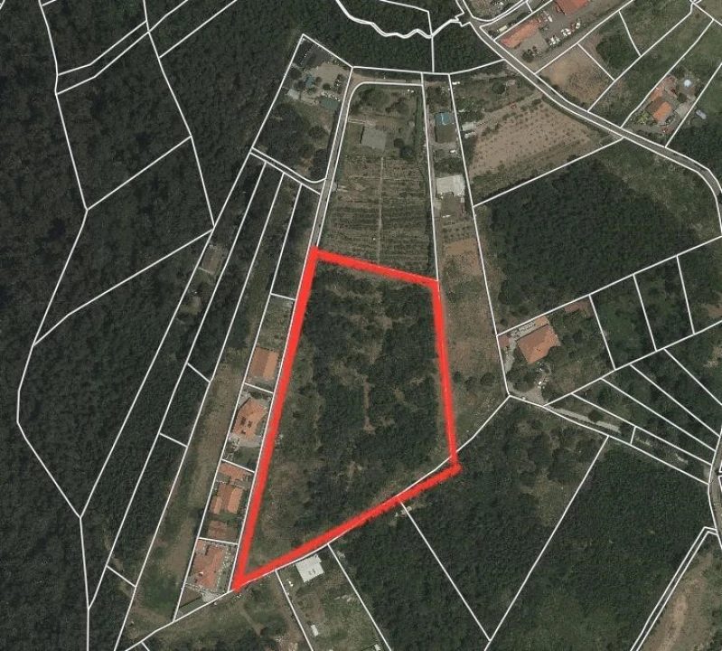 Terreno para Venda em Santa Cruz Planta 2
