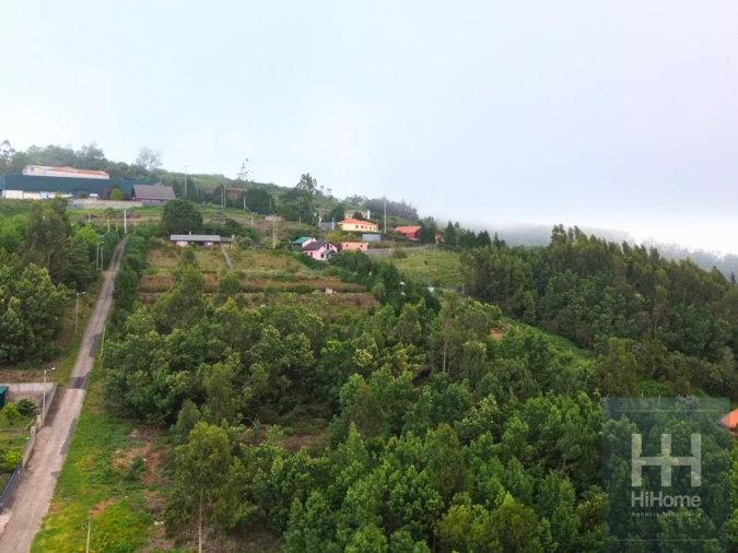 Terreno para Venda em Santa Cruz Foto 6