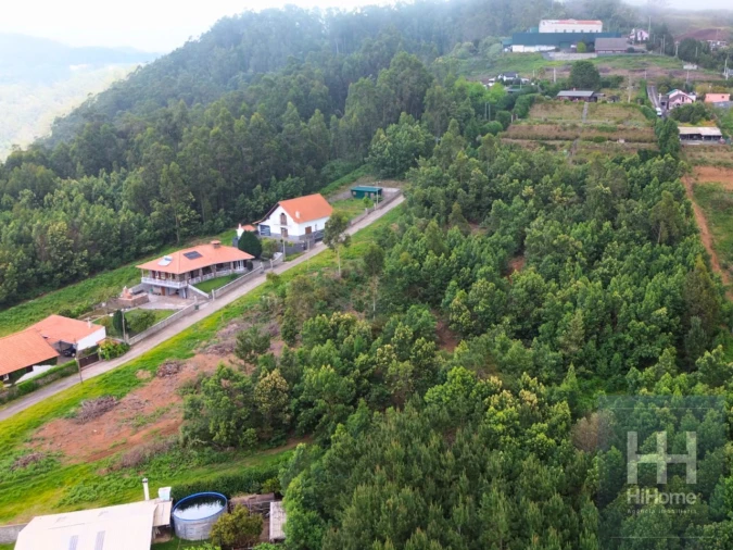 Terreno para Venda em Santa Cruz Foto 8