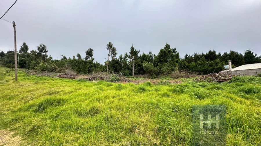 Terreno para Venda em Santa Cruz Foto 14