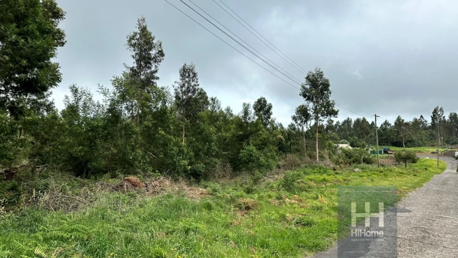 Terreno para Venda em Santa Cruz Foto 20