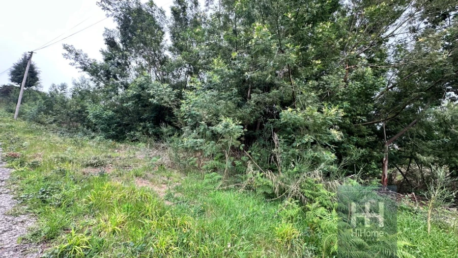 Terreno para Venda em Santa Cruz Foto 22