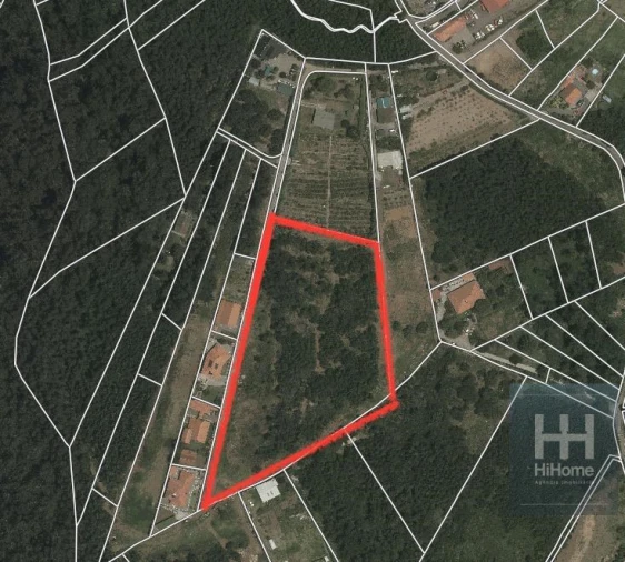 Terreno para Venda em Santa Cruz Foto 24