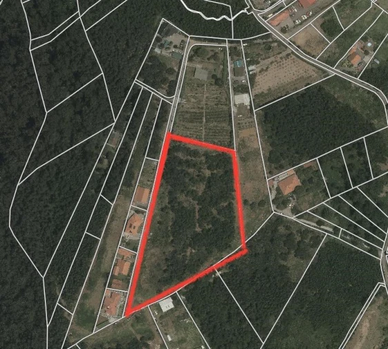 Terreno para Venda em Santa Cruz Planta 2