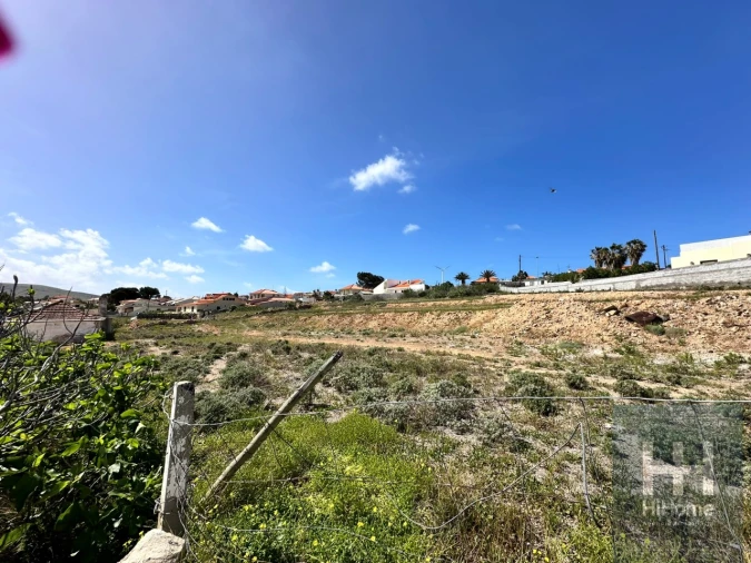 Terreno para Venda em Porto Santo Foto 14