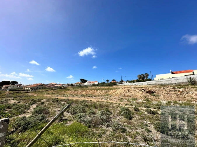 Terreno para Venda em Porto Santo Foto 16
