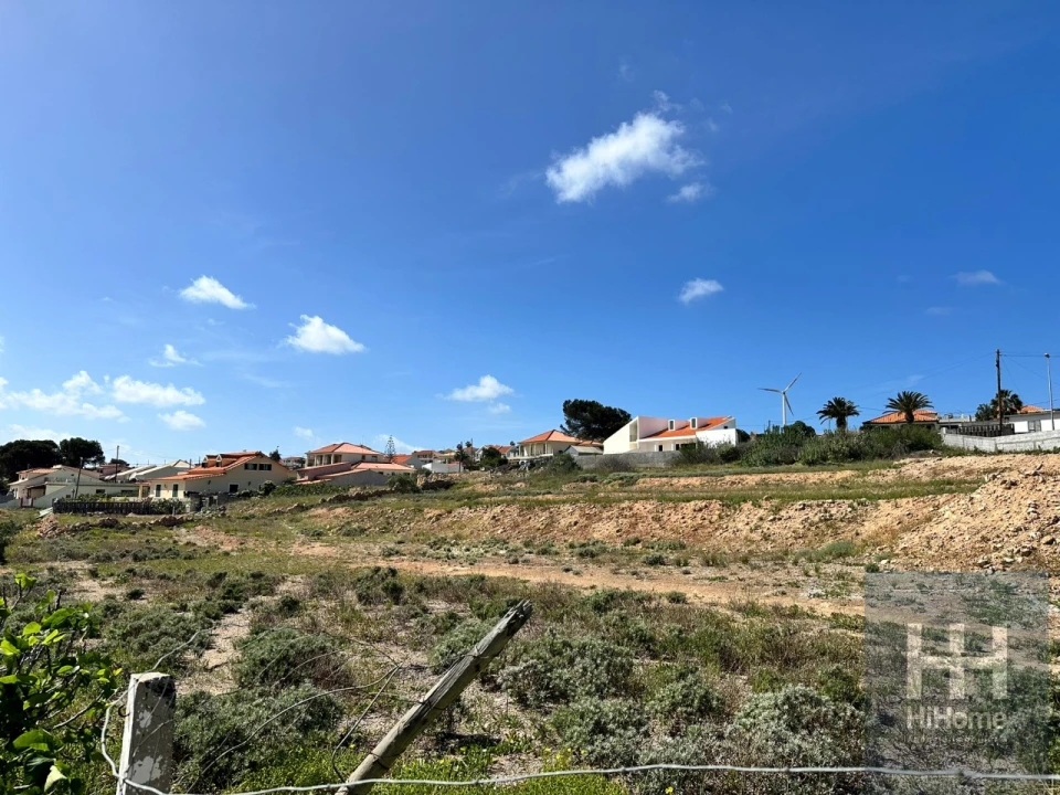 Terreno para Venda em Porto Santo Foto 13