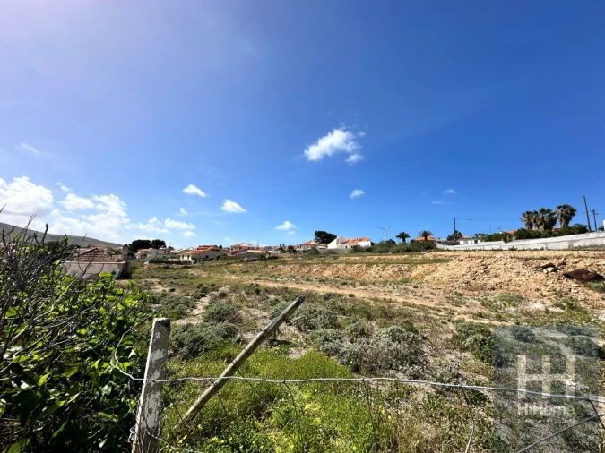 Terreno para Venda em Porto Santo Foto 17