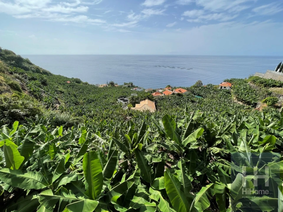 Terreno para Venda em Arco da Calheta Foto 2
