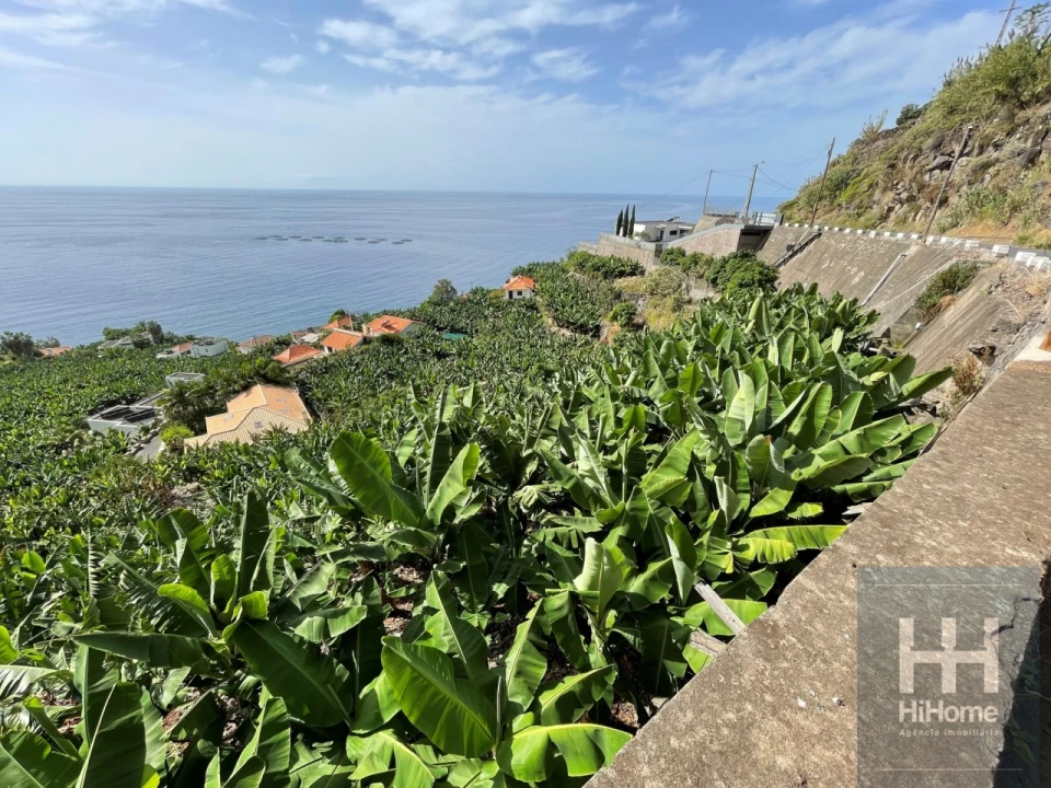 Terreno para Venda em Arco da Calheta Foto 6