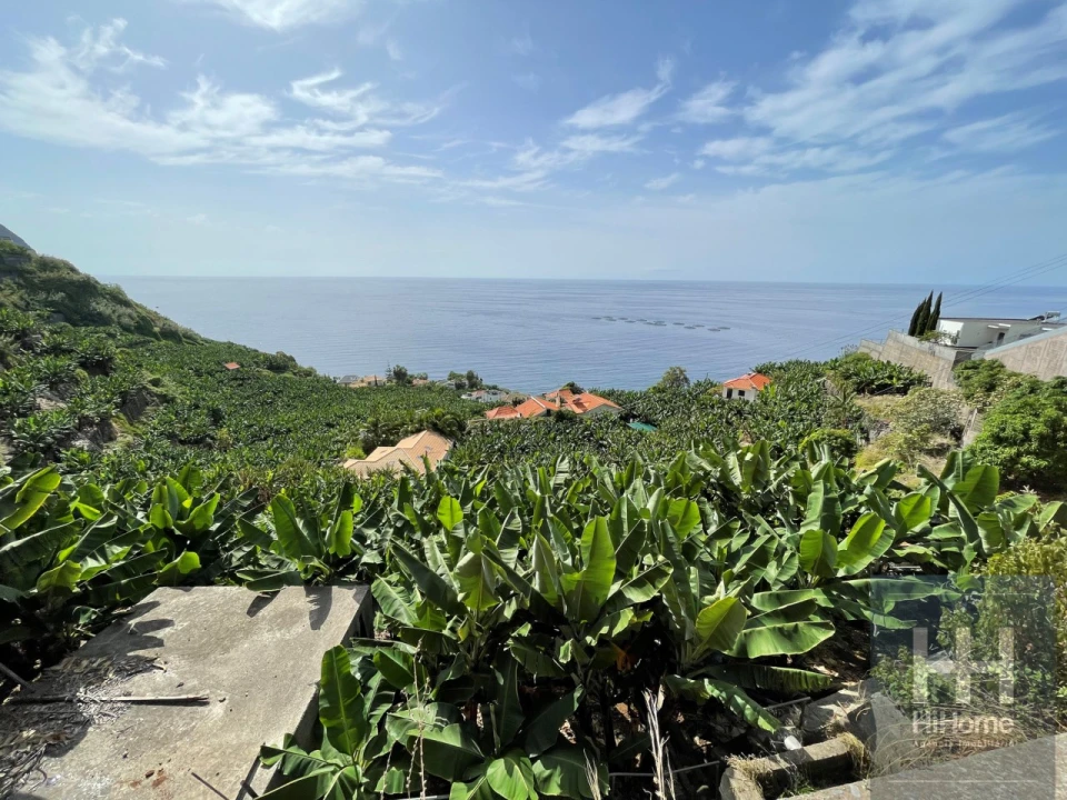 Terreno para Venda em Arco da Calheta Foto 7