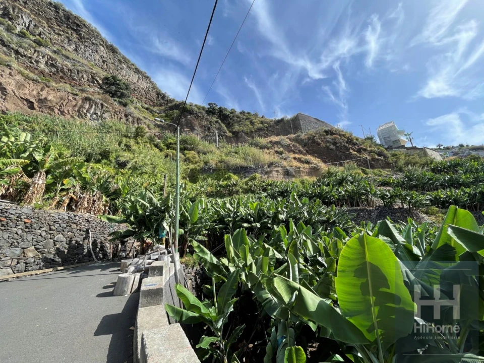 Terreno para Venda em Arco da Calheta Foto 10