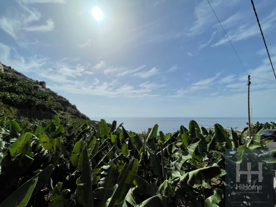 Terreno para Venda em Arco da Calheta Foto 12