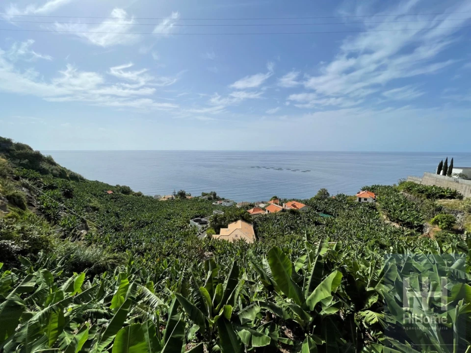 Terreno para Venda em Arco da Calheta Foto 13