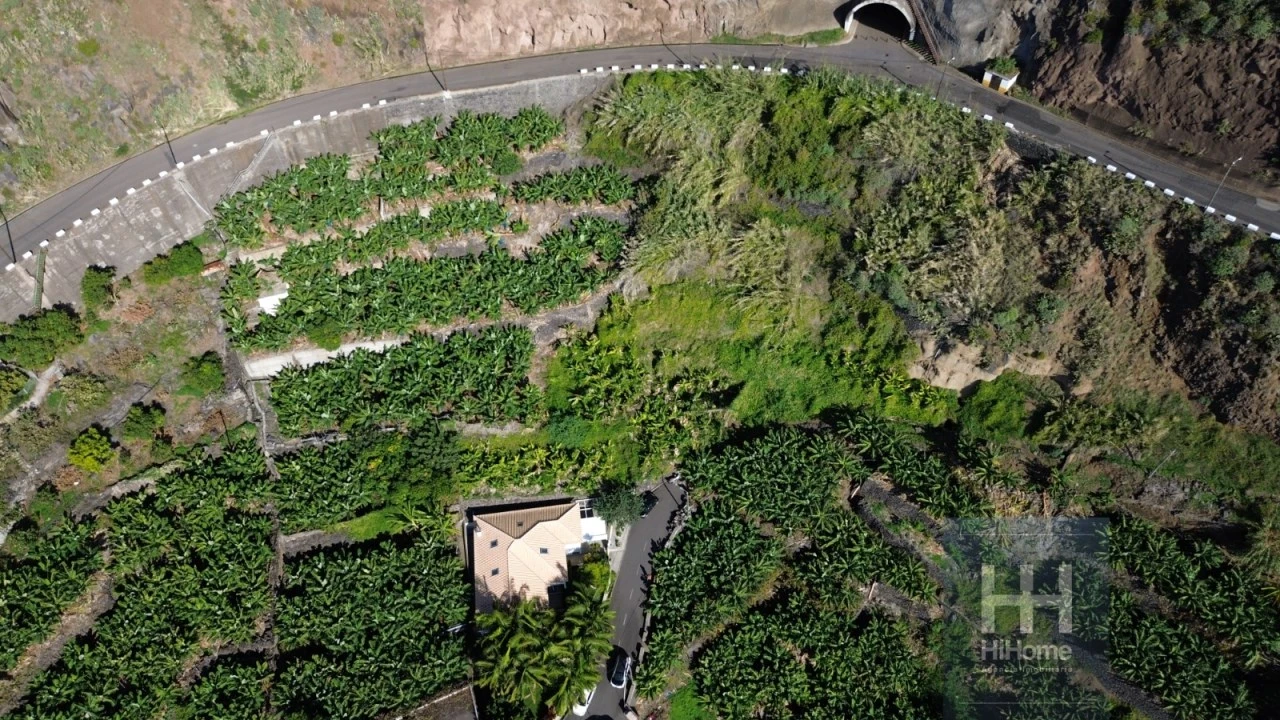 Terreno para Venda em Arco da Calheta Foto 14