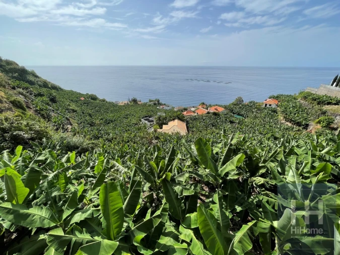 Terreno para Venda em Arco da Calheta Foto 2