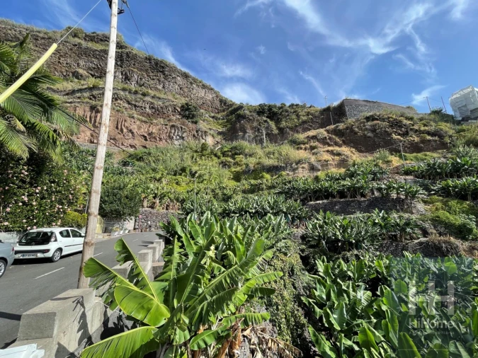 Terreno para Venda em Arco da Calheta Foto 8