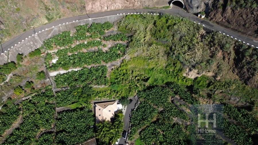 Terreno para Venda em Arco da Calheta Foto 14